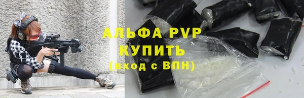 PSILOCYBIN Дмитриев
