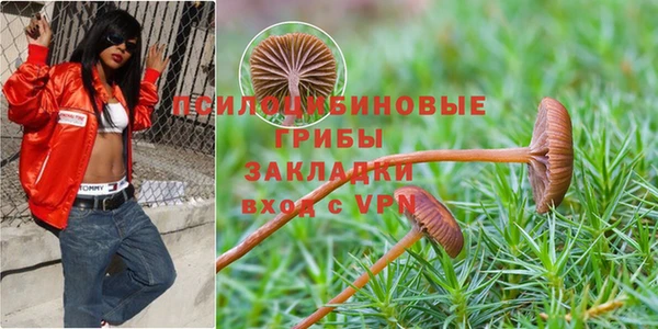 круглые Дмитровск