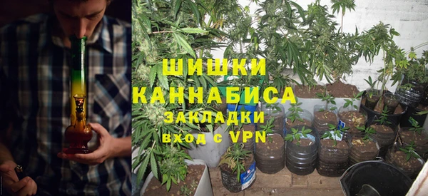 PSILOCYBIN Дмитриев