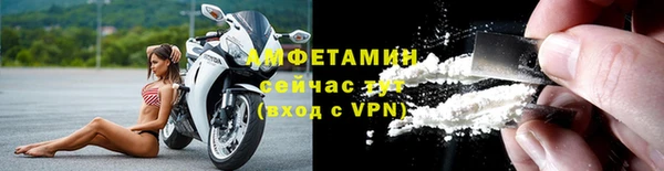 PSILOCYBIN Дмитриев