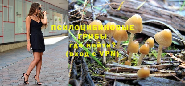 гашиш Дмитров