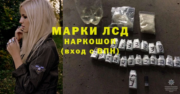 PSILOCYBIN Дмитриев