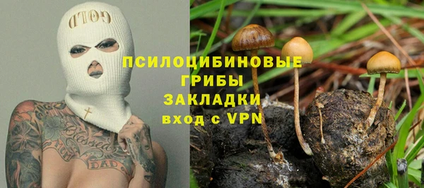 PSILOCYBIN Дмитриев