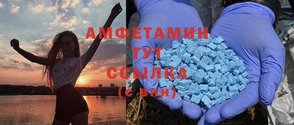 PSILOCYBIN Дмитриев
