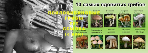круглые Дмитровск